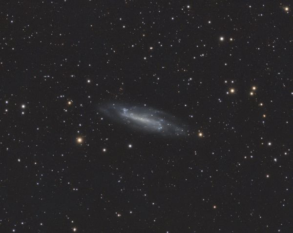 NGC 4236 (C3) - Astrophotography