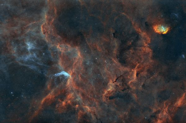 Tulip and Wolf-Rayet /sh2-101 wr134/ - Astrophotography