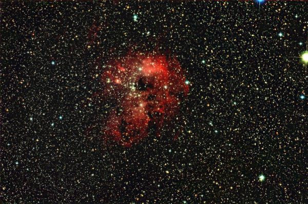 IC 410 - Tadpoles Nebula - Astrophotography