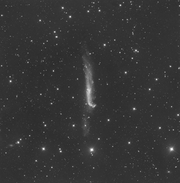 NGC 4656 - Astrophotography