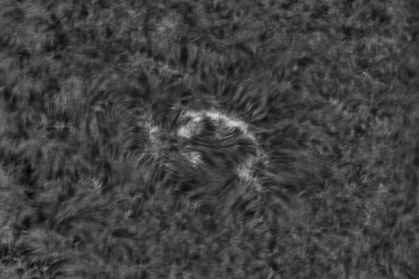 2020.10.26 Sun AR H-Alpha - астрофотография