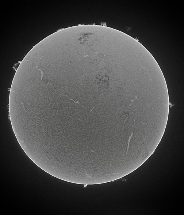 The Sun 08-04-23 invert - астрофотография