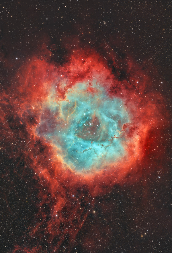 Rosette Nebula - Astrophotography