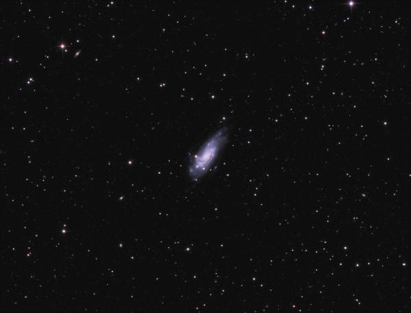NGC 4559 LRGB in Coma Berenices - астрофотография