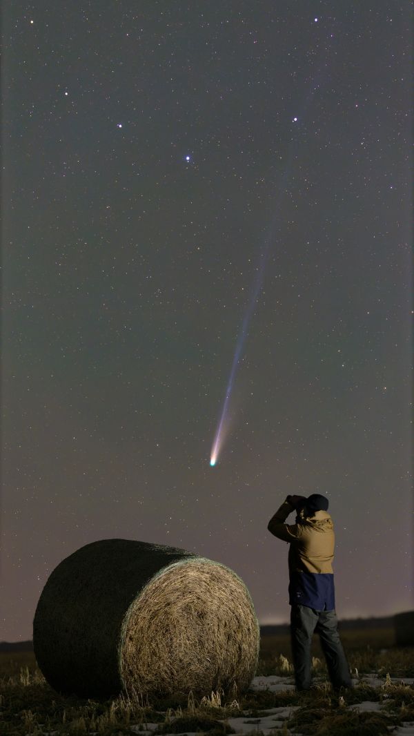 C/2025 A6 Lemmon - Astrophotography