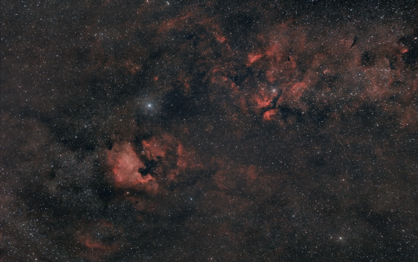 Туманности созвездия Лебедь - астрофотография