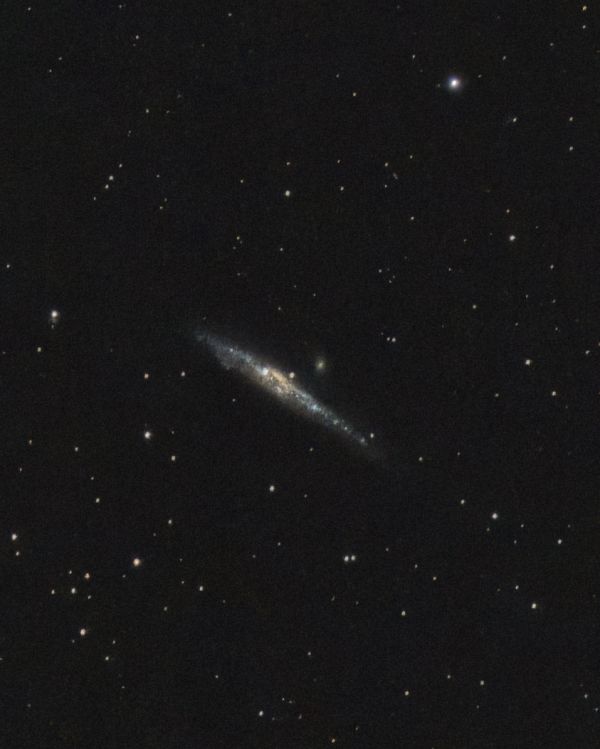 NGC 4631 - Whale Galaxy - астрофотография