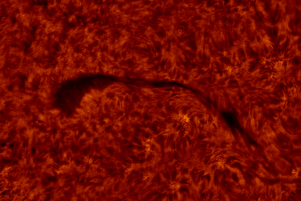 2020.10.26 Sun filament H-Alpha (color) - астрофотография