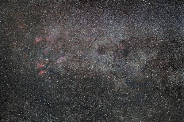 Участок млечного пути, созвездие Лебедя - астрофотография