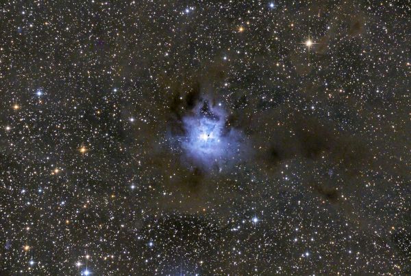 NGC 7023 Ирис - астрофотография