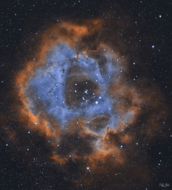 Rosette nebula - астрофотография