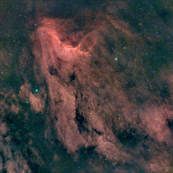 IC 5070 Pterodactyl (or Pelican) - Astrophotography