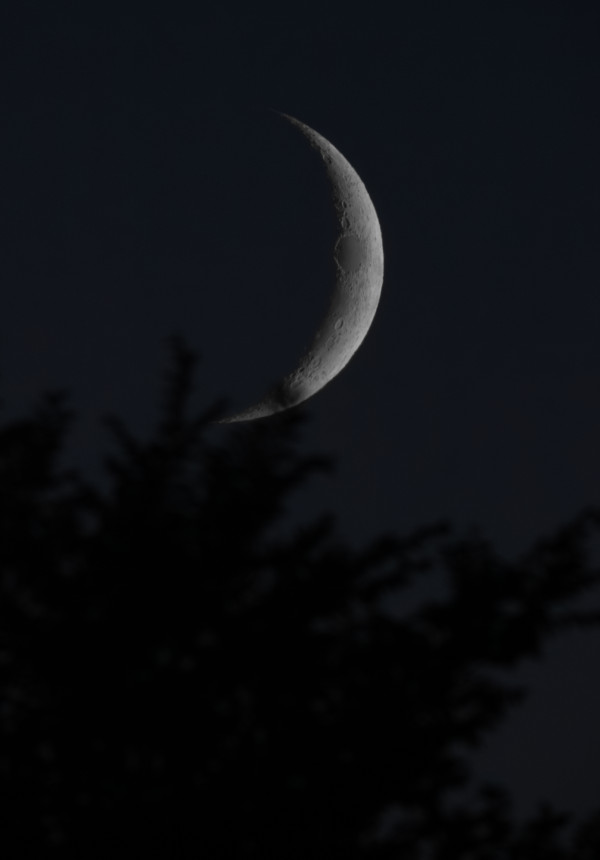 moon - Astrophotography