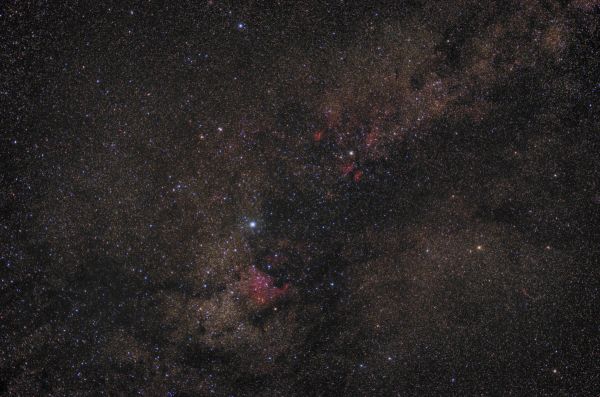 Cygnus widefield - астрофотография