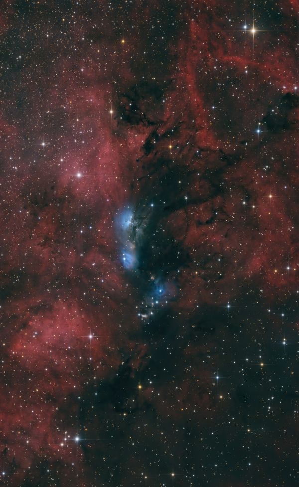 NGC6914 - Astrophotography