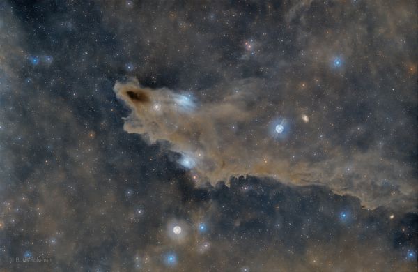 LDN-1235. Shark. - Astrophotography