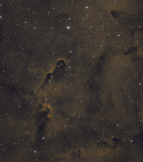 Туманность Хобот Слона (IC 1396) - астрофотография