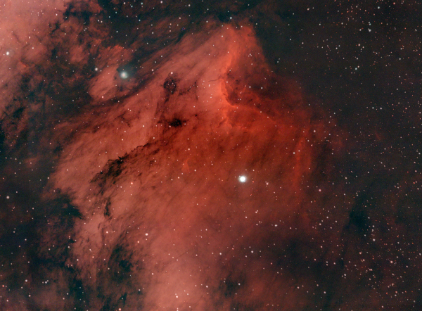 IC 5070 (Pelican) - Astrophotography