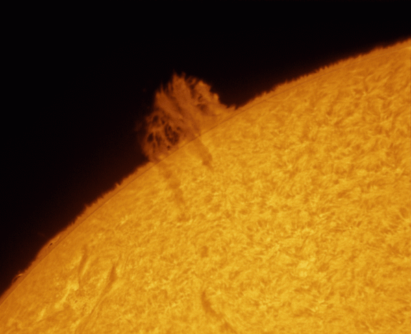 Animation of the Sun's chromosphere - Astrophotography