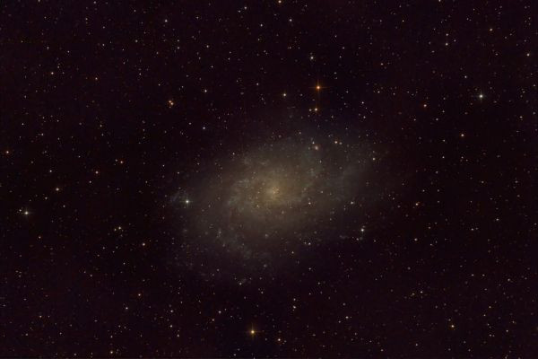 Spiral galaxy Triangulum (Messier 33, NGC 598) of type Sc. - Astrophotography