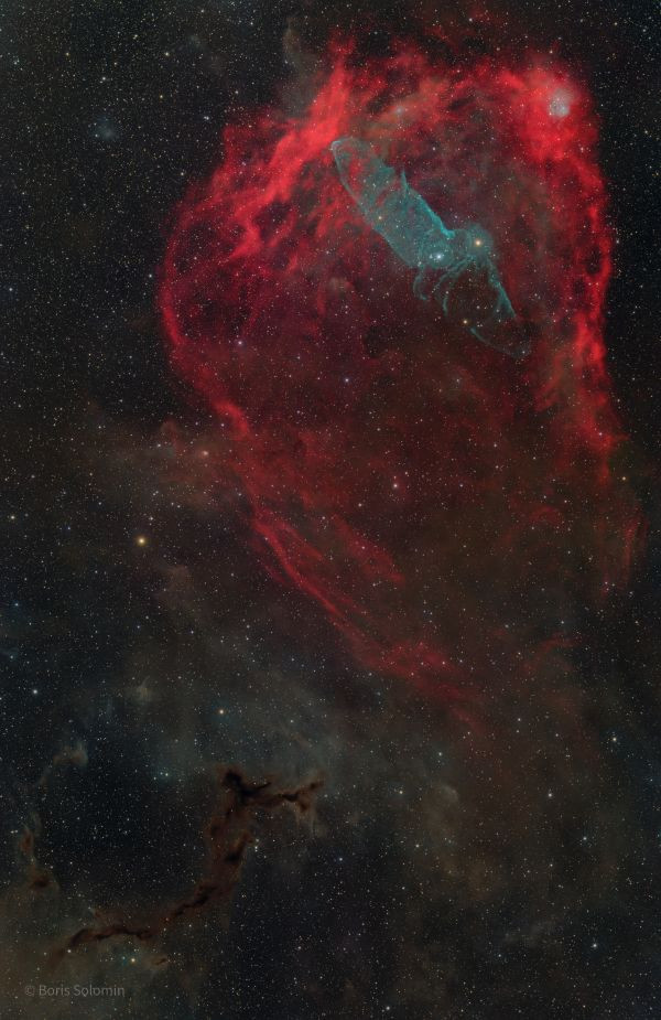 Squid, Bat, and Seahorse - Astrophotography