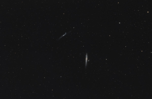 Whale Galaxy NGC 4631 & NGC 4656 - Astrophotography
