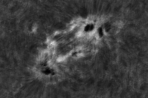 2020.10.26 Sun AR12778 Ha/Continuum/CaK animation - астрофотография