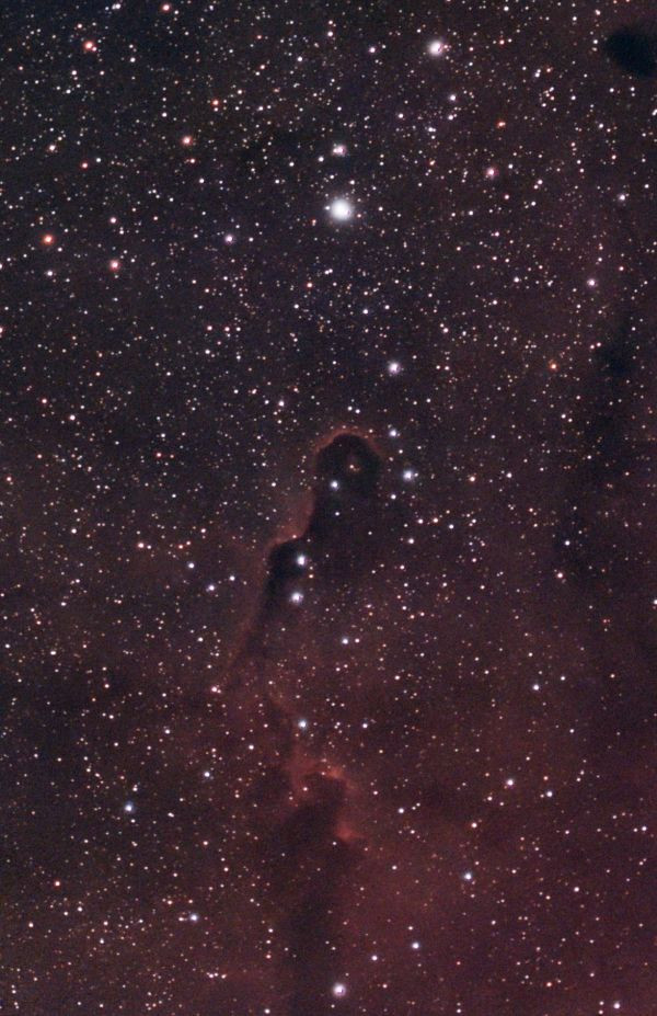 Elephant nebulosa - Astrophotography