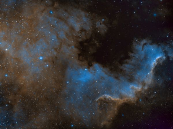 NGC 7000 - астрофотография