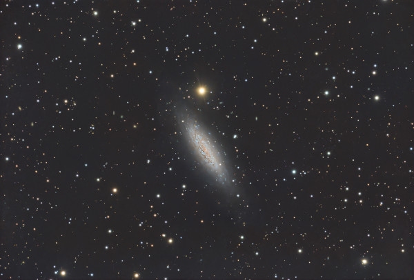 NGC6503 - Astrophotography