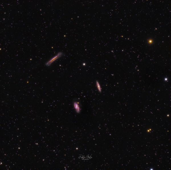 Leo triplet M65, M66, NGC 3628. - астрофотография