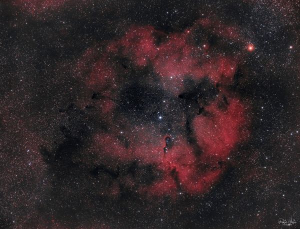 IC1396, Elephant's trunk nebula - астрофотография