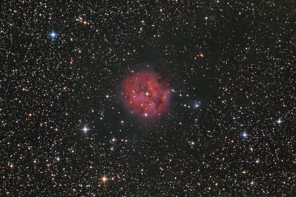 IC5146 "Кокон" - астрофотография