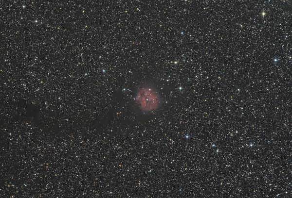IC 5146 - Cocoon Nebula - астрофотография