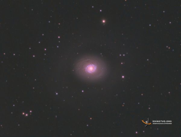 Галактика M94 в Гончих Псах - астрофотография