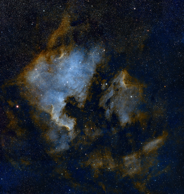 NGC 7000 (C20) North America and Pelican Nebulas (HOO) - Astrophotography