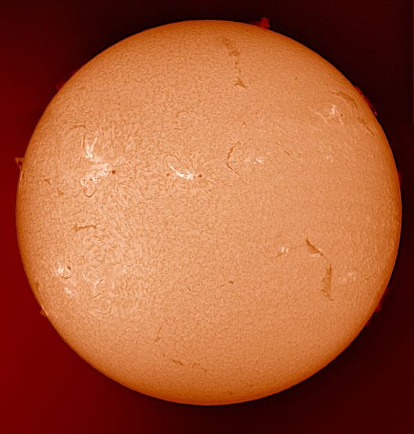 The Sun 17-06-23 colorized - астрофотография
