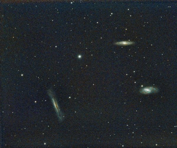 leo triplet M66, M65 NGC3628 - астрофотография