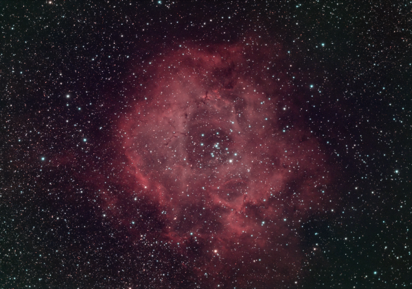 NGC 2237 Туманность Розетка (Розочка) - астрофотография