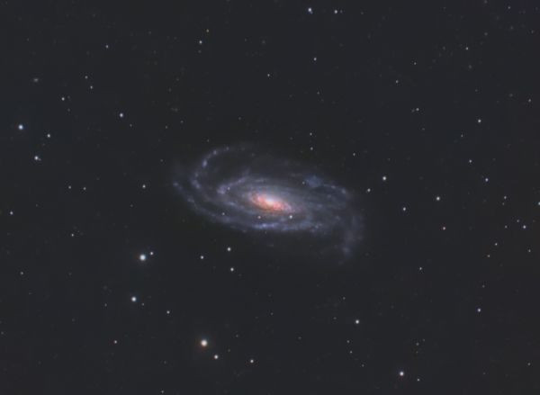 NGC5033 Water Bug Galaxy - Astrophotography