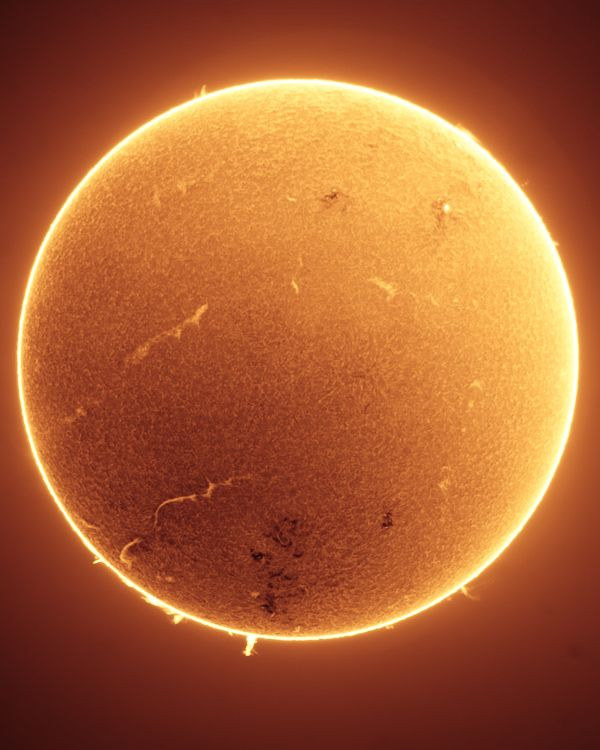 Sun in H-Alpha (Full-Disk) - Astrophotography