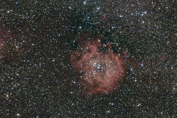 The Rosette Nebula (NGC 2237) - Astrophotography