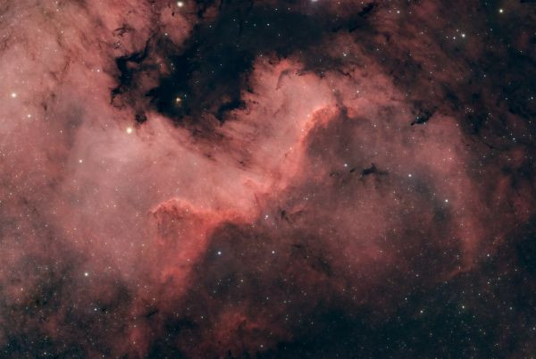 NGC 7000 