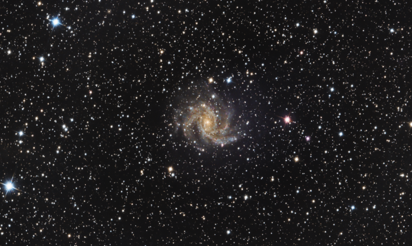 NGC 6946 - астрофотография