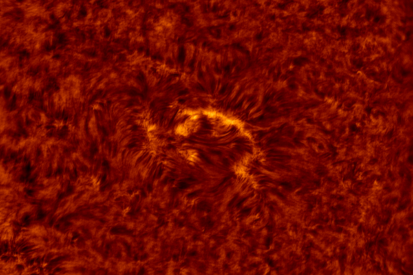 2020.10.26 Sun AR H-Alpha (color) - астрофотография