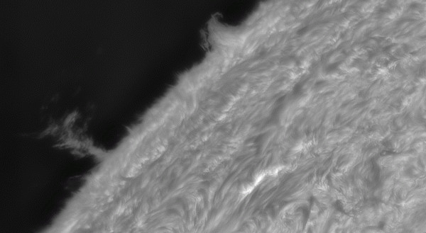 Dance of the Fiery Crescent [start, bin1], 01.09.2026 - Astrophotography
