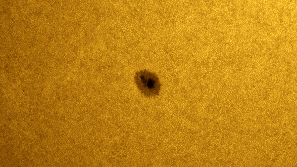 Солнечное пятно 3001 - астрофотография