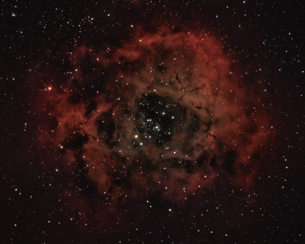 The Rosette Nebula (NGC 2237) - Astrophotography