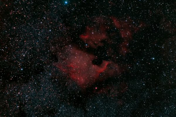 Северная Америка (NGC 7000) - астрофотография