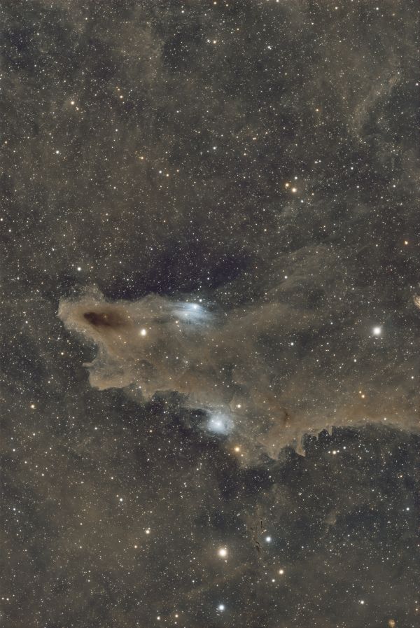 LDN 1235 - Astrophotography